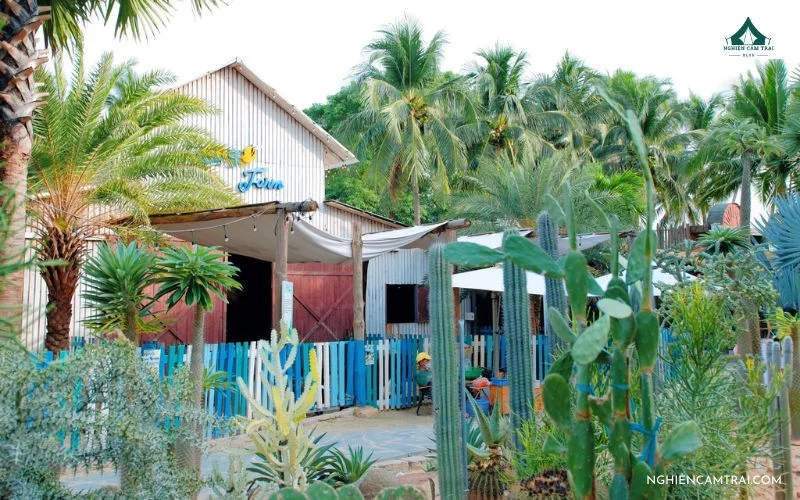 Góc check-in ven biển với khung cảnh nhiệt đới ấn tượng tại Mango Beach