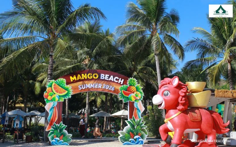 Nắm rõ các lưu ý để có chuyến đi Mango Beach tuyệt vời hơn