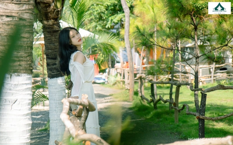 Timo Cafe & Camping Phước Hải: Giá vé và review chi tiết từ A - Z 15 Góc check-in hướng biển đẹp tại Timo Cafe & Camping Phước Hải