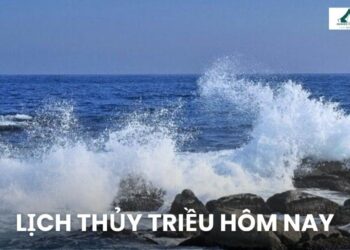 Lịch thủy triều hôm nay: Xem giờ nước lên, nước xuống chính xác