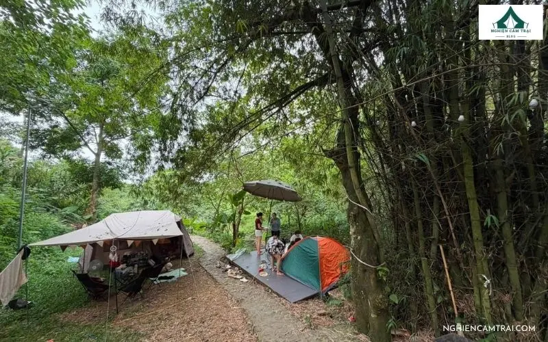 Review Path Hill Hòa Bình: Khu cắm trại ven suối xanh mát 8 Khu vực dựng lều cắm trại nằm ẩn mình dưới tán cây xanh mát tại Path Hill
