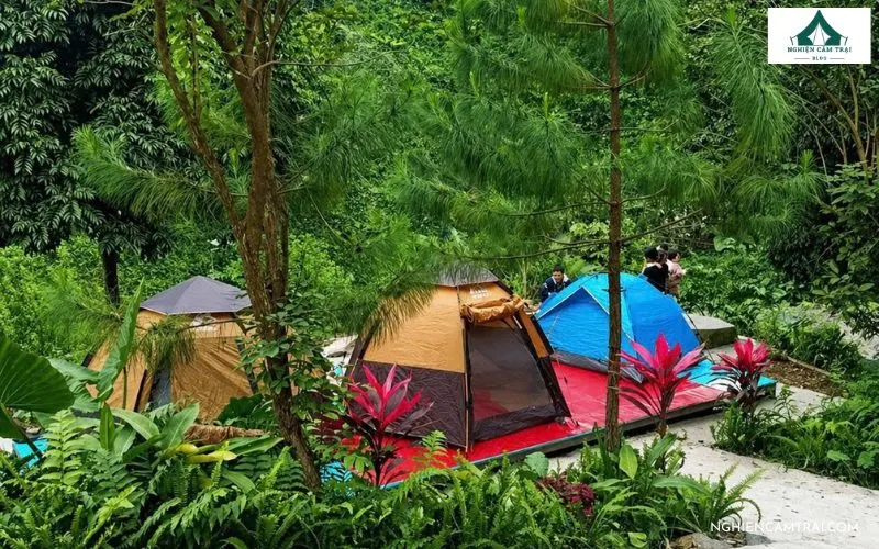 Review Path Hill Hòa Bình: Khu cắm trại ven suối xanh mát 14 Các lều trại được bố trí gọn gàng, ấm cúng dưới tán rừng thông tại Path Hill