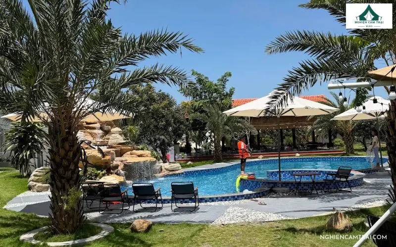 Review Vườn nhà My Camping – Khu cắm trại xanh mát gần biển Phước Hải 11 Khu vực hồ bơi ngoài trời trong xanh tại Vườn nhà My Camping được bao quanh bởi cây xanh và tiểu cảnh thác nước