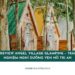 Review Angel Village Glamping – Trải nghiệm nghỉ dưỡng ven hồ Trị An 17 Review Angel Village Glamping – Trải nghiệm nghỉ dưỡng ven hồ Trị An