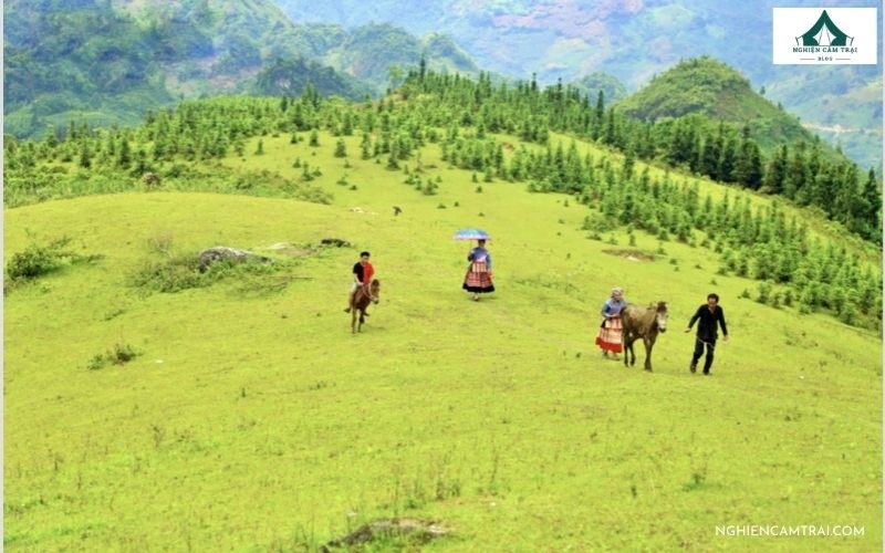 Cắm trại đồi cỏ mây Cốc Sâm nên tránh đi vào mùa mưa