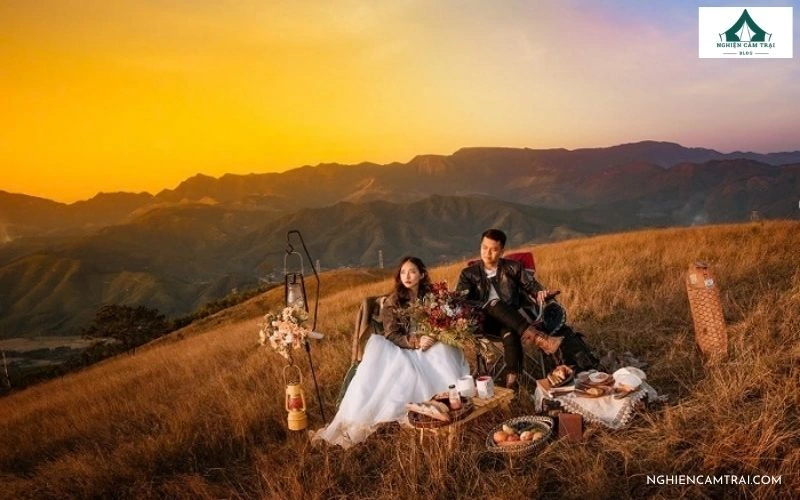 Review camping đỉnh Bình Hương với đồi cỏ cháy và rừng thông 8 Tháng 6 đến tháng 9 và khoảng thời gian đẹp nhất để camping đỉnh Bình Hương