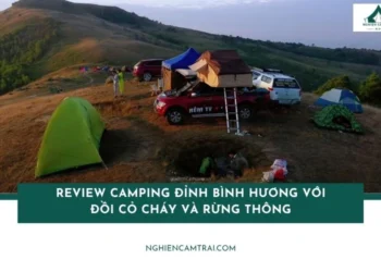 Review camping đỉnh Bình Hương với đồi cỏ cháy và rừng thông