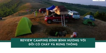 Review camping đỉnh Bình Hương với đồi cỏ cháy và rừng thông