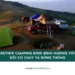 Review camping đỉnh Bình Hương với đồi cỏ cháy và rừng thông