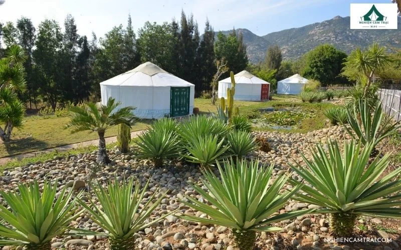Tanyoli Glamping kết hợp nghỉ dưỡng và hoạt động trải nghiệm tại sở hữu khuôn viên khoảng 13,7 ha